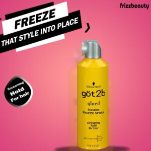Frizzbeauty - Hair Care