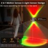 Motion sensor light