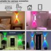 Motion Sensor Light